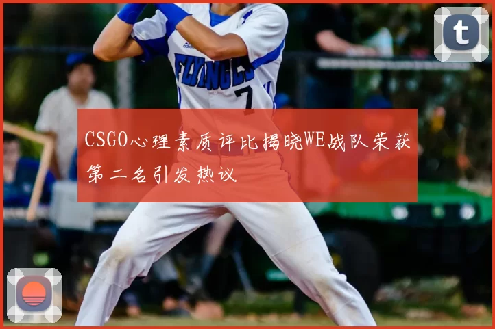 CSGO心理素质评比揭晓WE战队荣获第二名引发热议
