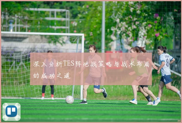 深入分析TES阵地战策略与战术布局的成功之道