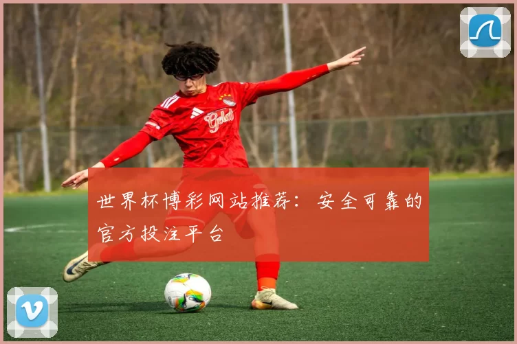 世界杯博彩网站推荐：安全可靠的官方投注平台