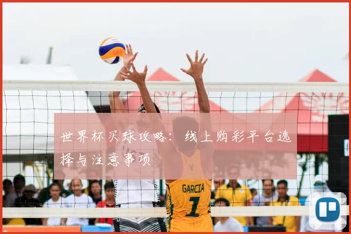 世界杯买球攻略:线上购彩平台选择与注意事项