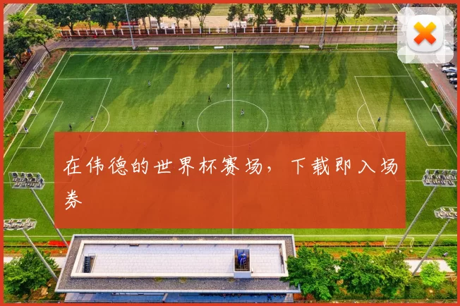 在伟德的世界杯赛场,下载即入场券