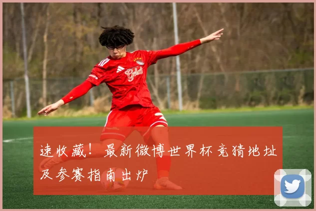 速收藏!最新微博世界杯竞猜地址及参赛指南出炉